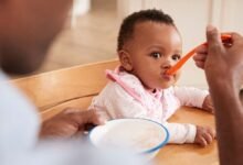 Baby Food Net: The Essential Tool for Healthy Homemade Baby Meals