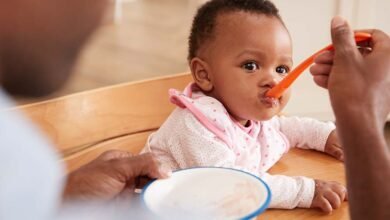 Baby Food Net: The Essential Tool for Healthy Homemade Baby Meals