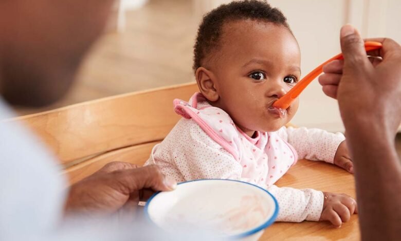 Baby Food Net: The Essential Tool for Healthy Homemade Baby Meals